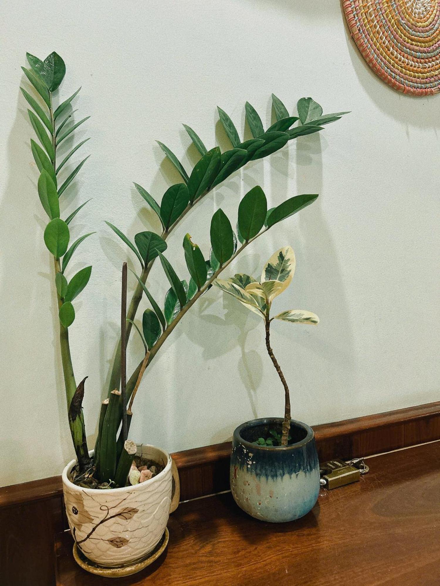 Nang Homestay Tuy Hoa Εξωτερικό φωτογραφία